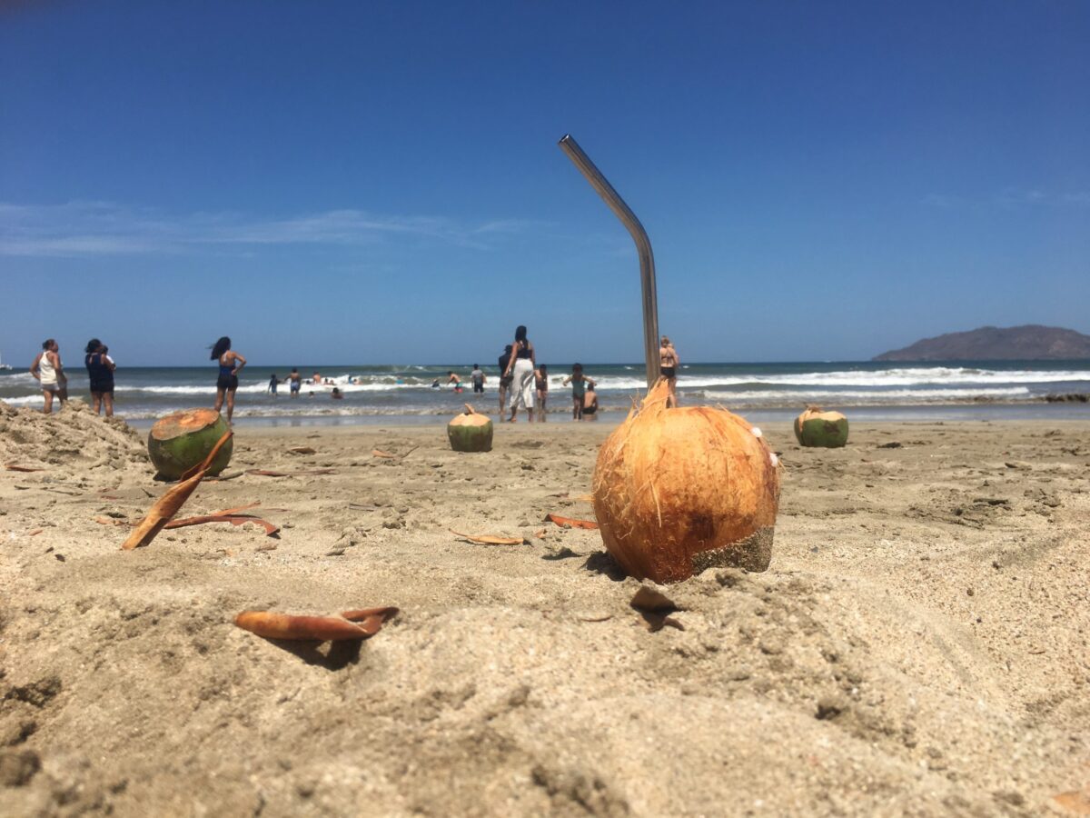 Costa RIca Tamarindo beach coconut: Photo by Steve Page