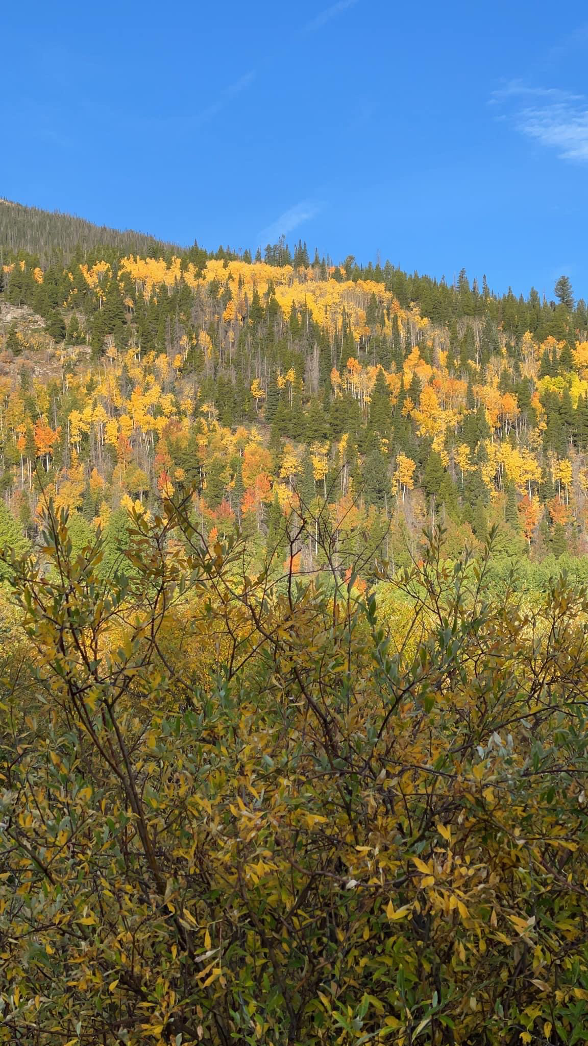 Colorado Autumn spring colors Photo by travel author Nikki Page