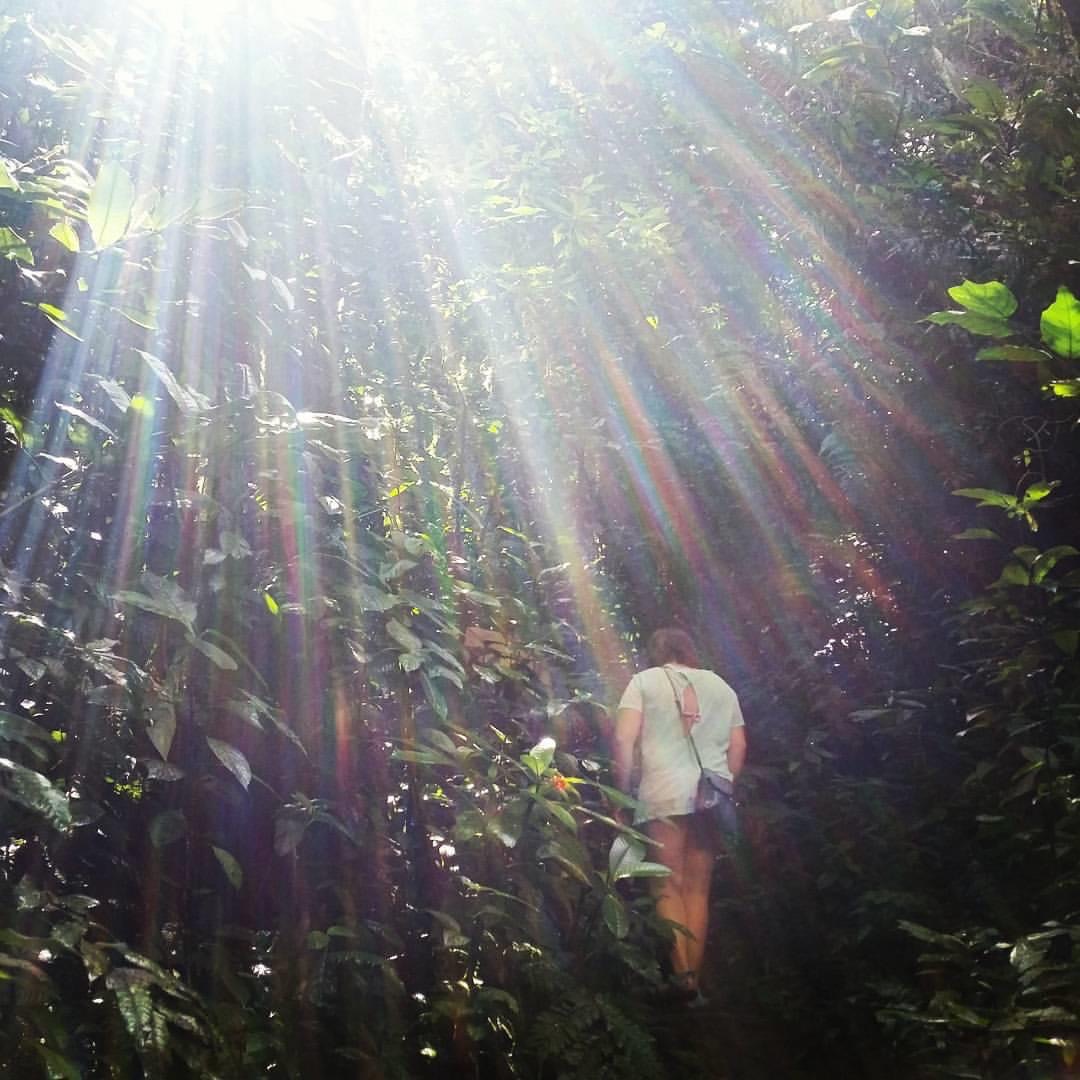 Taya Bijagua Costa Rica jungle walk